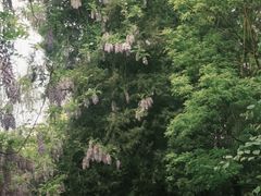 -迎泽公园