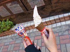 -富豪雪糕车流动点(尖沙咀店)
