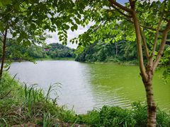 -贵州省植物园