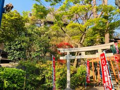 -上野公园花园稻荷神社(忍岡稲荷神社)