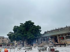 -悦城龙母祖庙