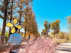 -前小桔亲子创意农场·草莓采摘·露营烧烤