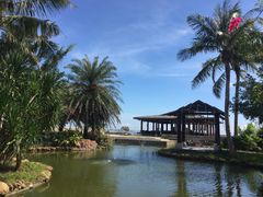 -采粤轩中餐厅(惠州金海湾喜来登度假酒店)