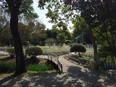 -广东花都香草世界旅游度假区