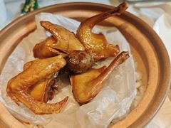 -大鸽饭(动物园店)