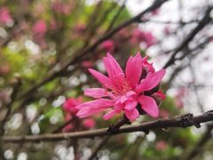 -堤角公园