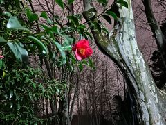-浙江大学(玉泉校区)
