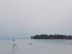 -纳卢苏安岛