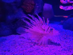 -沈阳海洋探索中心