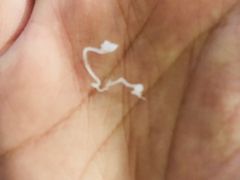 -茉酸奶(松江开元地中海店)