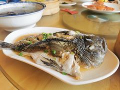 清蒸石斑鱼-坛南湾阿强农家乐.海鲜大排档老字号(福州地标美食店)