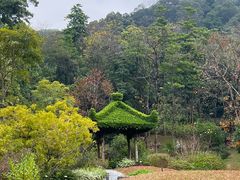 -云溪植物园