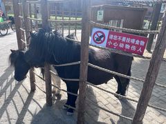 -保定市动物园