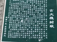 -大槐树寻根祭祖园