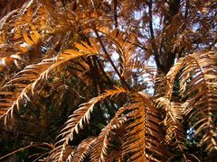 -苏州河梦清园环保主题公园