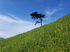 景点-萍乡武功山风景名胜区