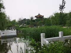 -武清南湖绿博园