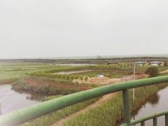 -东方华地城湿地温泉度假区