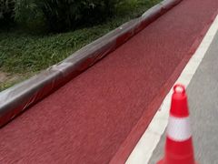 -火炉山森林公园