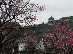 -无锡梅园公园
