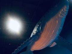 -常州海昌海洋探索馆