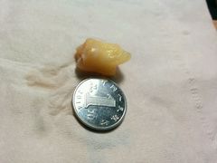 -泰康拜博口腔(世博园乐尔店)