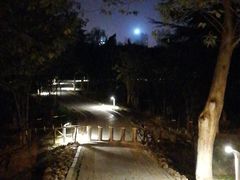 -滨湖塘西河公园