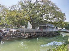-东涌水乡风情街