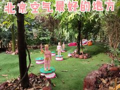 -呀路古热带植物园