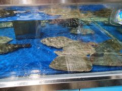 -盒马鲜生(枣园路店)