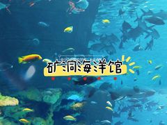 -长鹿旅游休博园