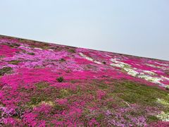 -大连铭湖国际观光牧场