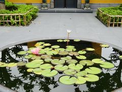 -上海青龙寺