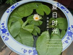 -上海滨江森林公园