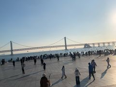 -星海湾跨海大桥