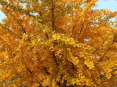 -辽宁大学(崇山校区)