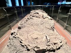 -世界恐龙谷景区