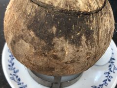 原只椰子炖竹丝鸡-達揚原味燉品(文明路店)