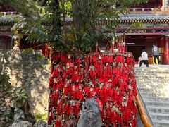 -潭柘寺景区