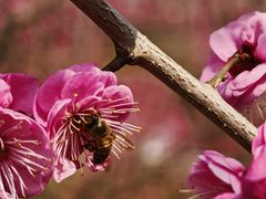 -江南大学(蠡湖校区)