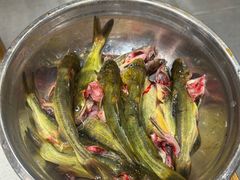 -肖肖酸萝卜鱼火锅(总店)