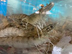 -蓝珊甄选海鲜自助·火锅大排档(近阿那亚店)