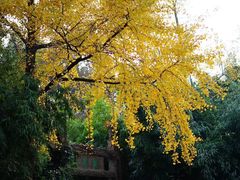-无锡惠山寺