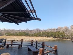 -前关湿地公园