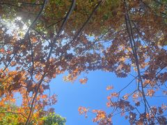 -北京西山国家森林公园