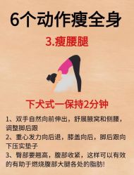 -Fundi张玉珊修身堂·indiba·BTL科技瘦身