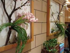 -九田家黑牛烤肉料理(华侨城店)