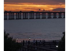 -宝安西湾红树林湿地公园