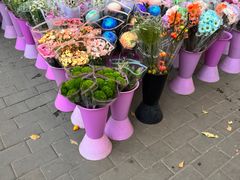 -宝鸡东道花鸟鱼虫市场(吉利花园商场店)