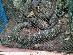 -青石桥市场北1-27号